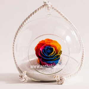 Γυάλινη μπάλα με πολύχρωμο-rainbow τριαντάφυλλο που ζει για πάντα