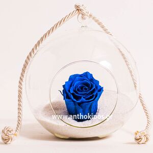 Γυάλινη μπάλα με μπλε τριαντάφυλλο που ζει για πάντα