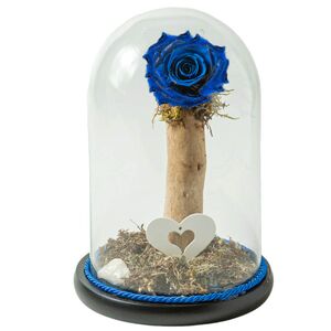 Glass bell with blue rose that lives for ever