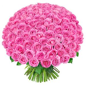 50 pink roses in bouquet
