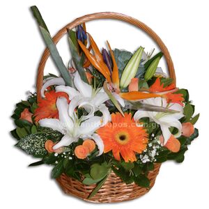Flower arrangement in basket with handle, in white-orange shade