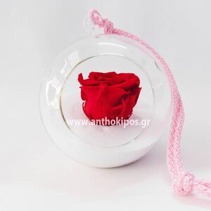 Γυάλινη μπάλα με κόκκινο τριαντάφυλλο που ζει για πάντα