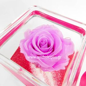 Lilac rose that live for ever in glass