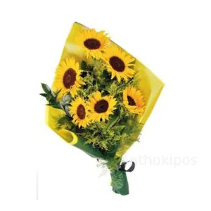 anthodesmi_me_helianthus_sunflowers_m4c3